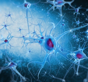 Guillain-Barré-Syndrom: Pathogenese, Diagnostik und Therapie