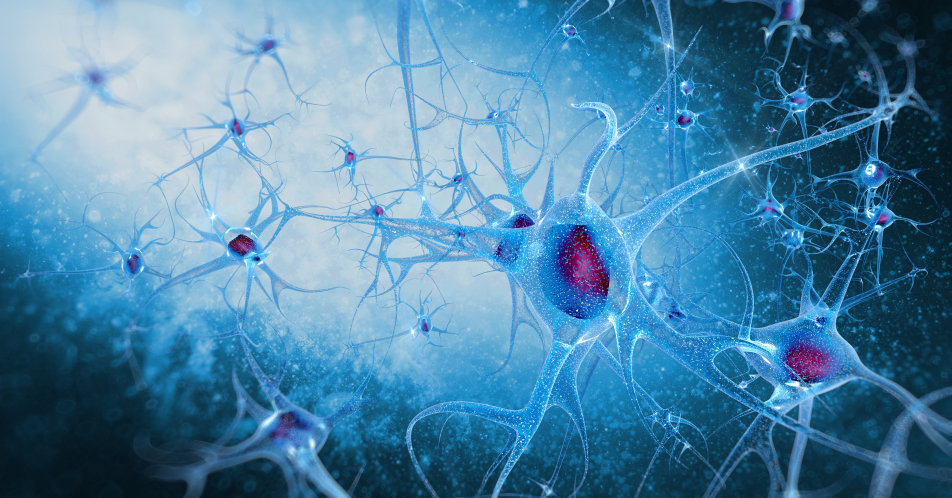 Guillain-Barré-Syndrom: Pathogenese, Diagnostik und Therapie