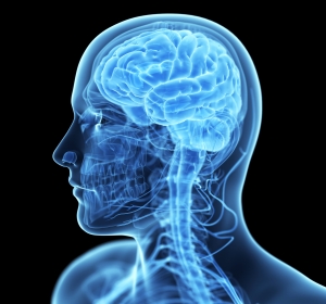 Morbus Osler – eine seltene Erkrankung aus HNO-ärztlicher Sicht