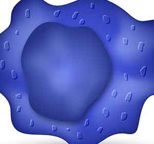 Rolle der Makrophagen und des Mas-Rezeptors bei Multipler Sklerose