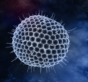 Varizellen und Zoster in der Praxis