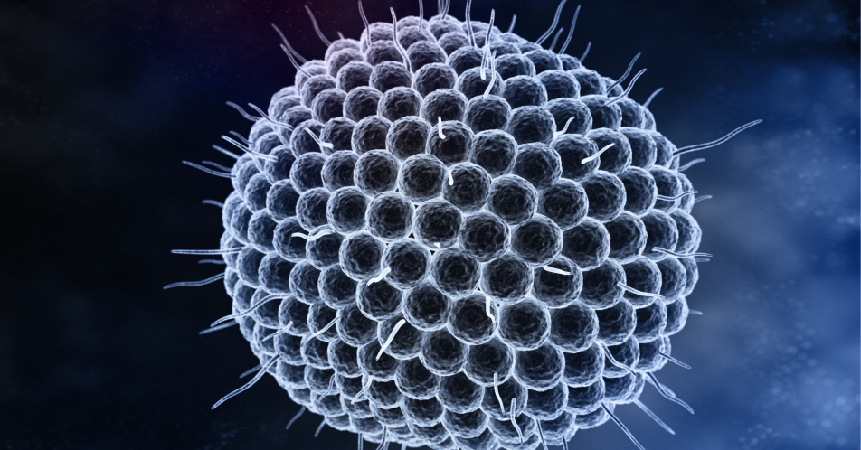 Varizellen und Zoster in der Praxis