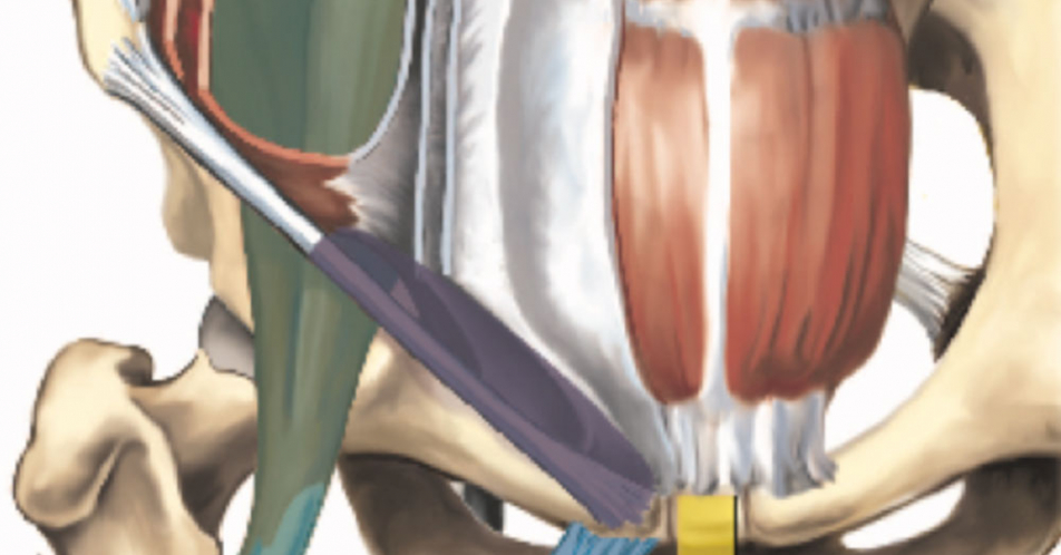 Diagnostik und Therapie der „Sportlerleiste“