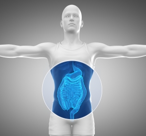 Mikrobiom-Modulation: Neue Therapiekonzepte bei Darmerkrankungen