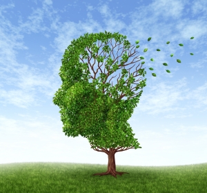 Alzheimer im Frühstadium kann mit Nährstoffkombination stabilisiert werden