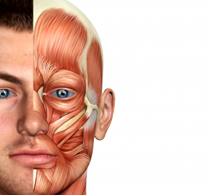Myasthenia gravis: Belastungsabhängige Muskelschwäche der Skelettmuskulatur