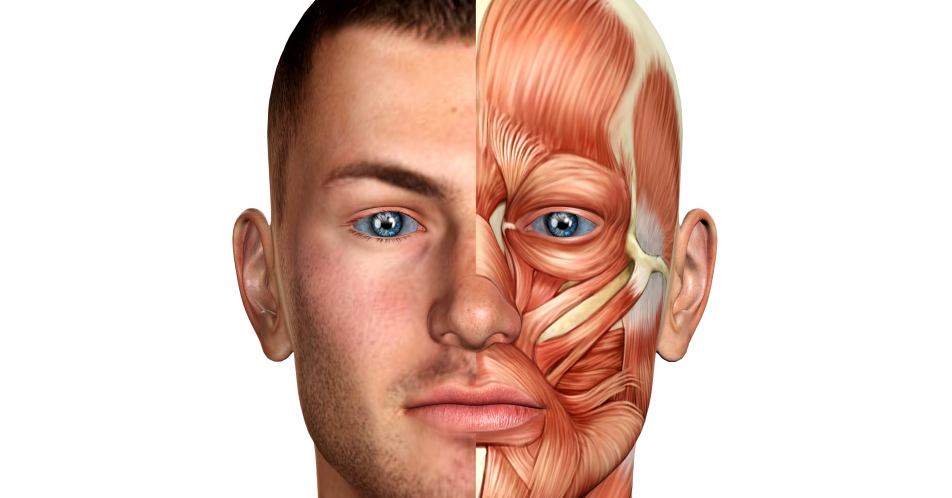 Myasthenia gravis: Belastungsabhängige Muskelschwäche der Skelettmuskulatur
