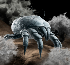 Allergien gegen Milben