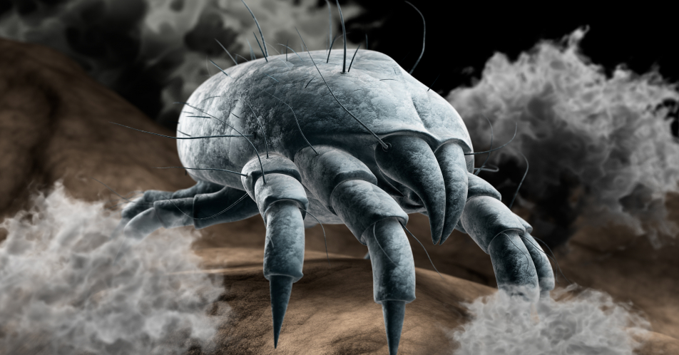 Allergien gegen Milben