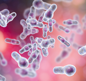 Fäkale Mikrobiota-Therapie bei Clostridium-difficile-Infektion: eine Erfolgsgeschichte