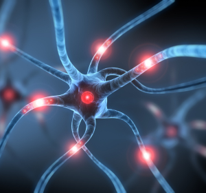 Gehirn: Ästhetik stimuliert Default Mode Network 