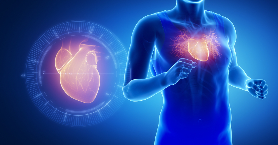 Differenzialdiagnostik des Sportherzens