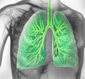 COPD: Verbesserter Tiotropium-Olodaterol-Inhalator 