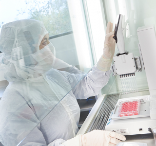 Immunologie revolutioniert die Krebstherapie