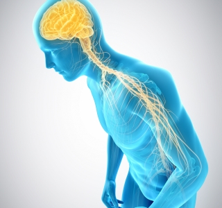 BIAL startet internationale Kampagne zum Welt-Parkinson-Tag