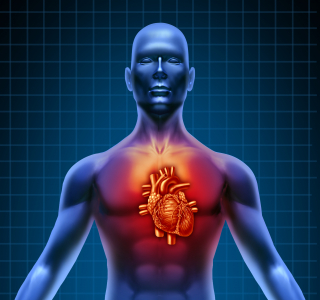 Klinikeinweisung wegen Herzschwäche: Welche Warnsignale müssen Betroffene kennen?